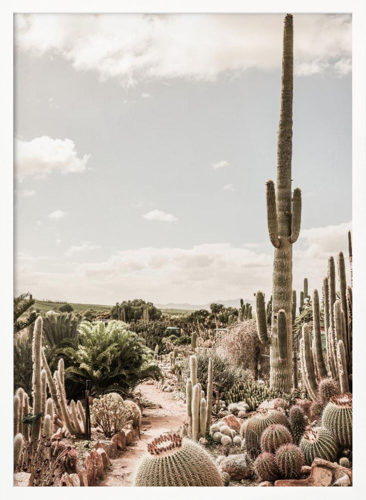 Cactus Farm Poster